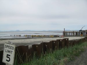 The workers line up along the shoreline, ready to begin their 15 hour work day. They often have to stand for three hour intervals without a break. --Chris Brown