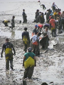 Wading through mud in Nushagak Bay, the workers form an assembly line. The fishery requires the employees undergo repetitive work. --Courtesy of Chris Brown